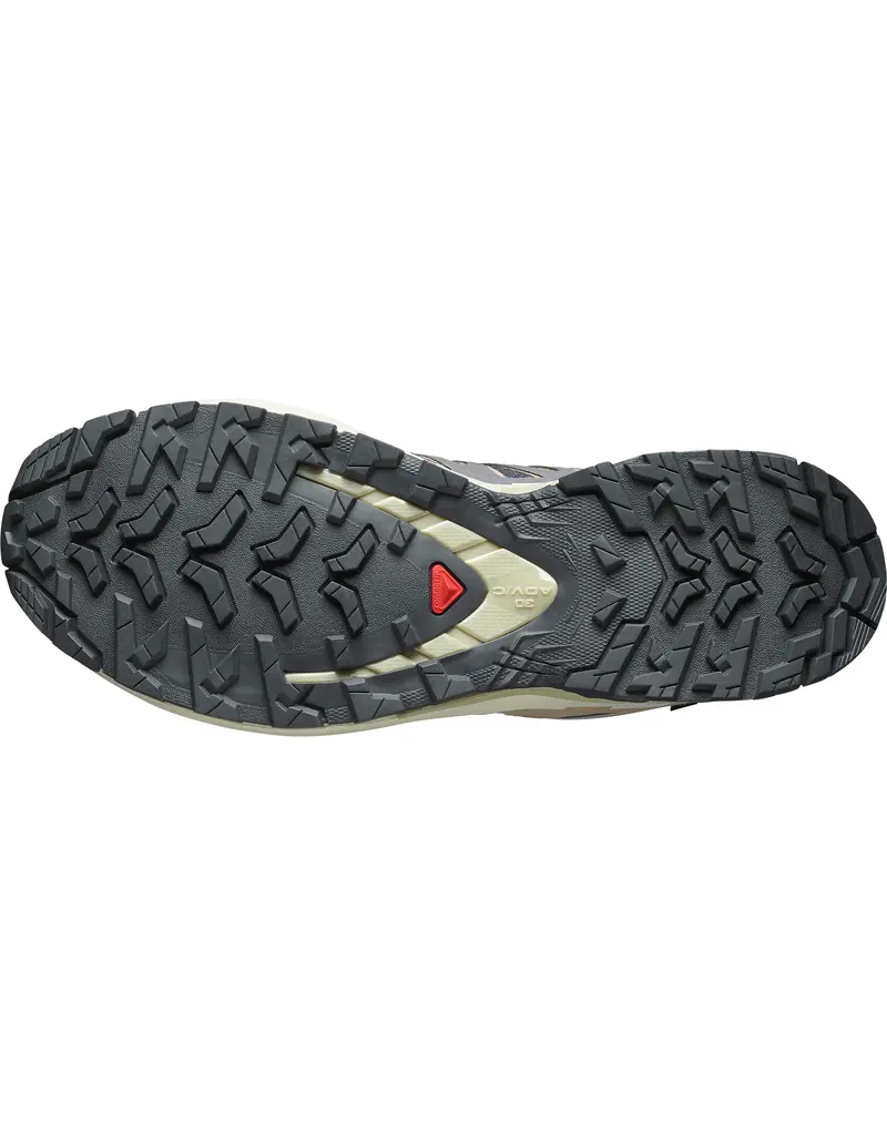 Salomon XA PRO 3D V9 GTX WM