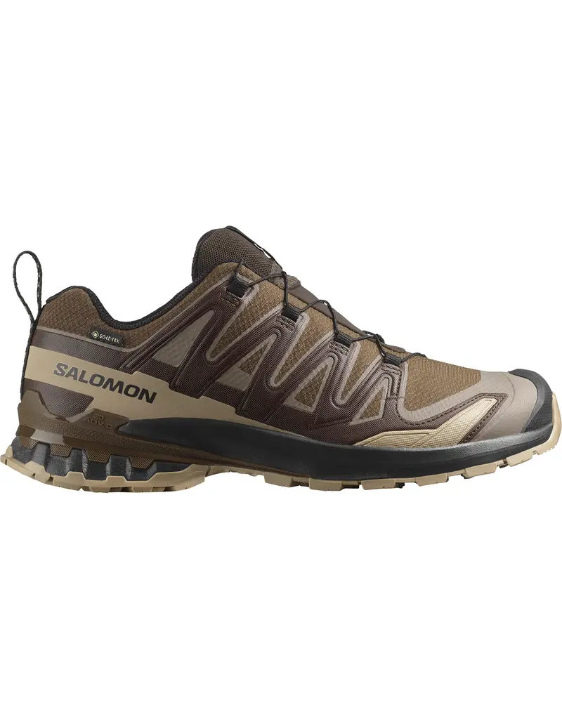 Salomon XA PRO 3D V9 GTX