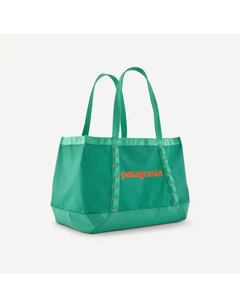 Patagonia Black Hole Tote 25L