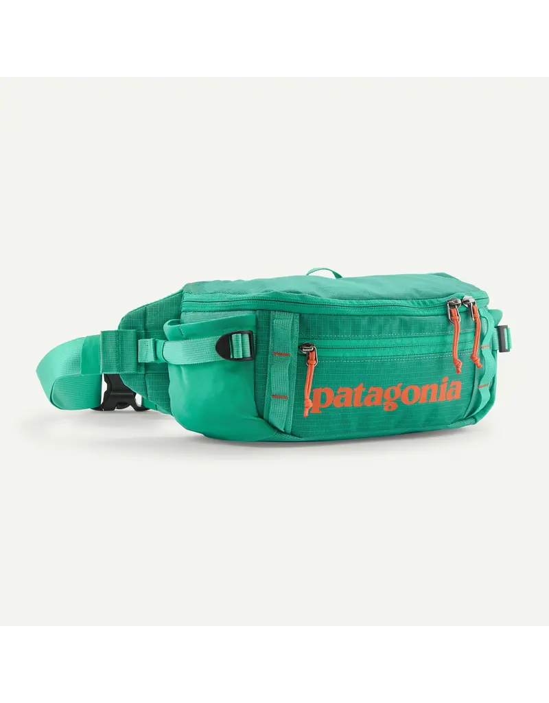 Patagonia Black Hole Waist Pack 5L