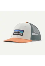 Patagonia P-6 Logo LoPro Trucker Hat