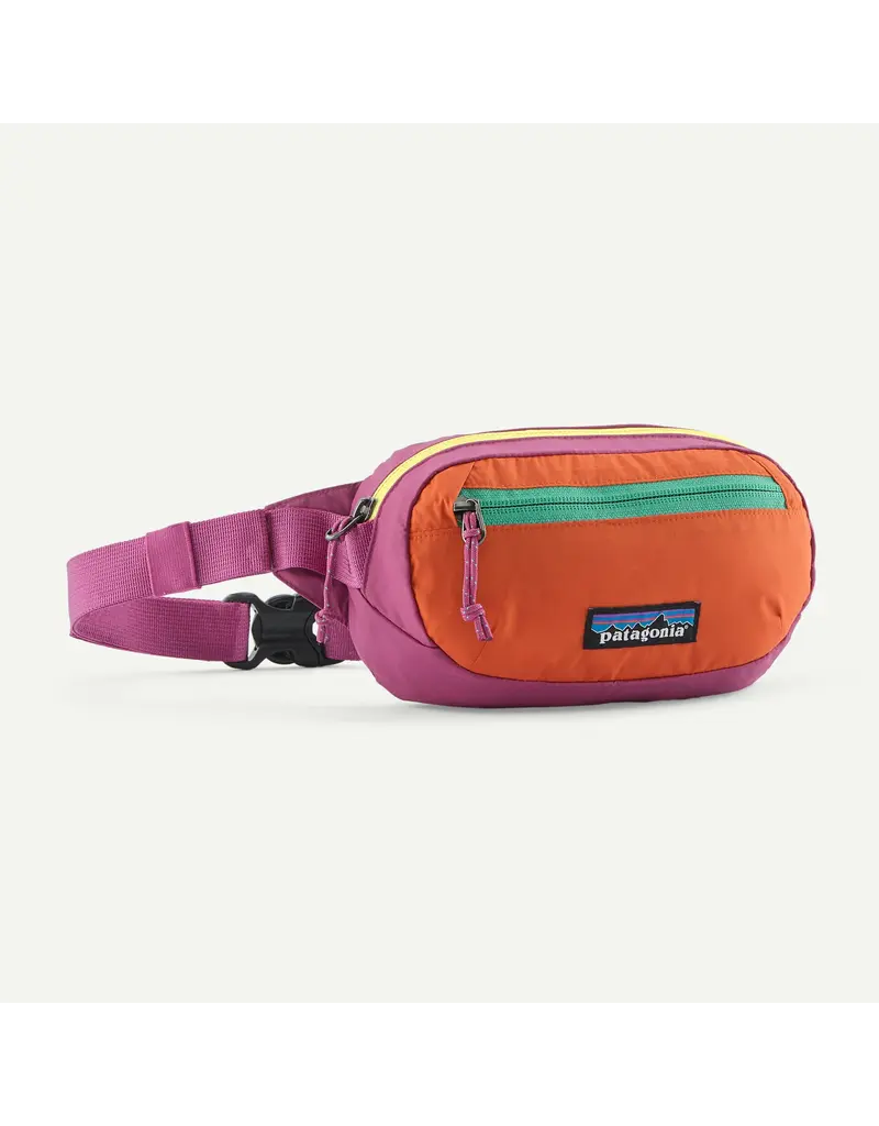 Patagonia Terravia Mini Hip Pack