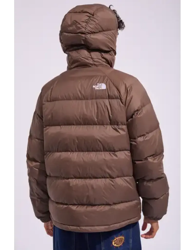 The North Face Men's Hydrenalite Down Hoodie
