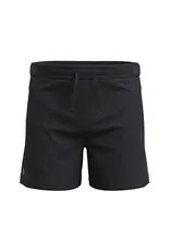 Smartwool Men's Active Lined 5" Short