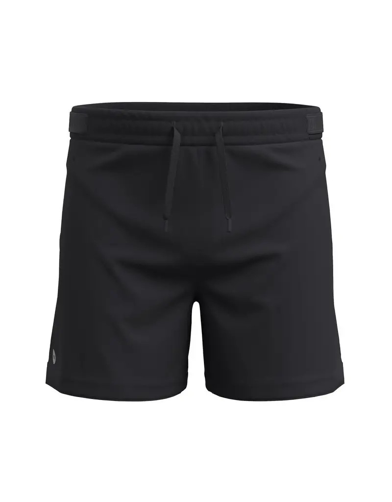Smartwool Men's Active Lined 5" Short