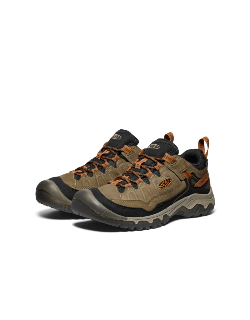Targhee IV WP-M
