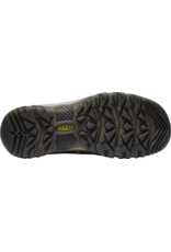 Targhee IV Mid WP-W