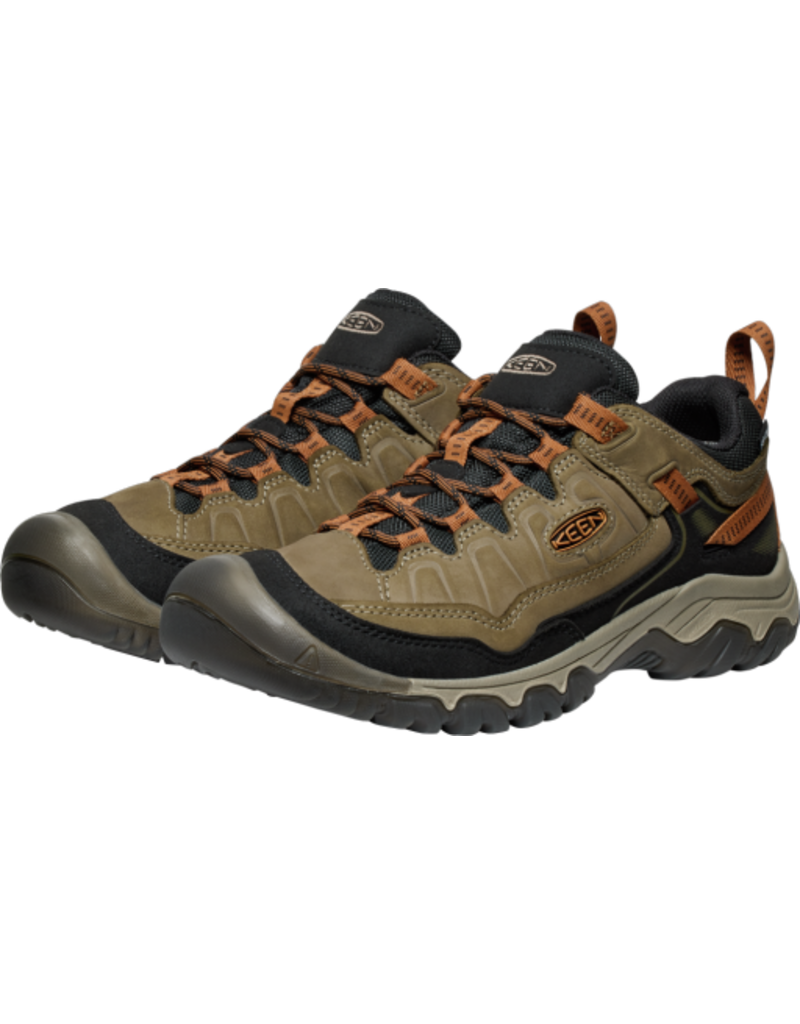 Targhee IV WP-M