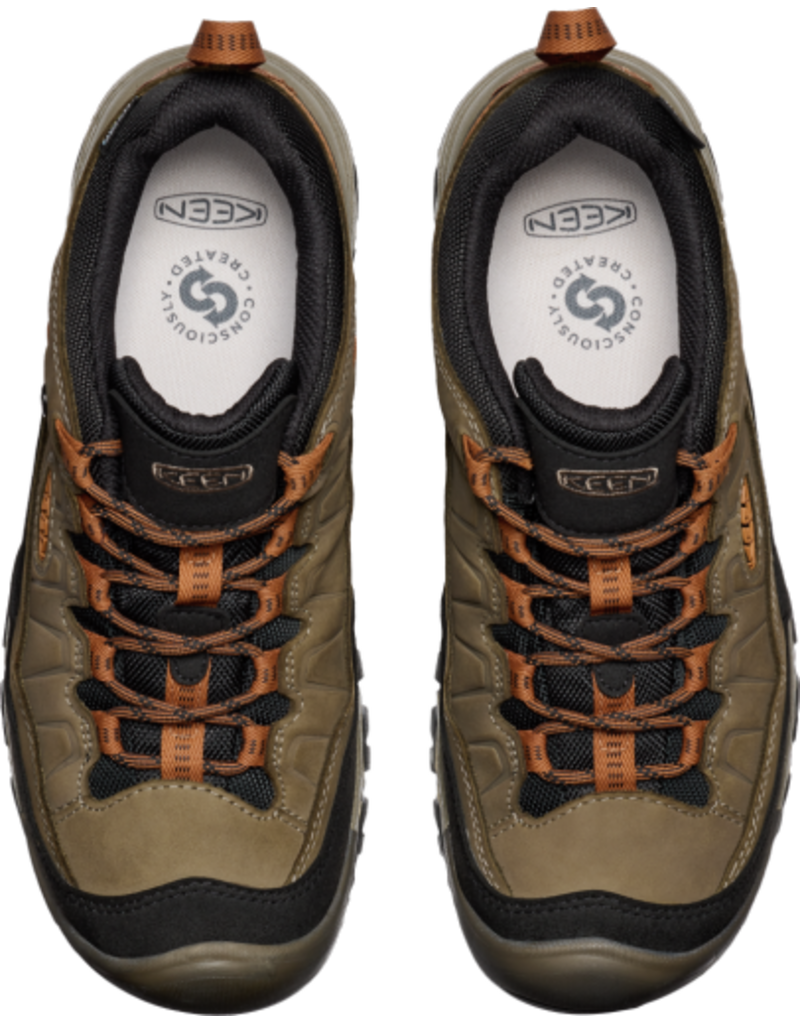 Targhee IV WP-M