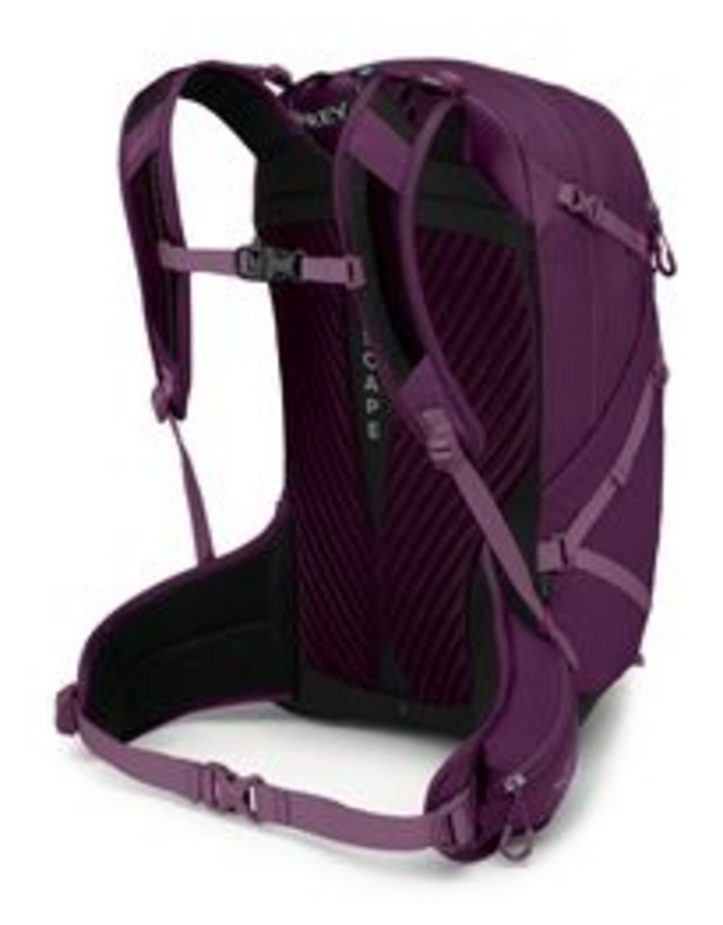 Osprey Sportlite 25