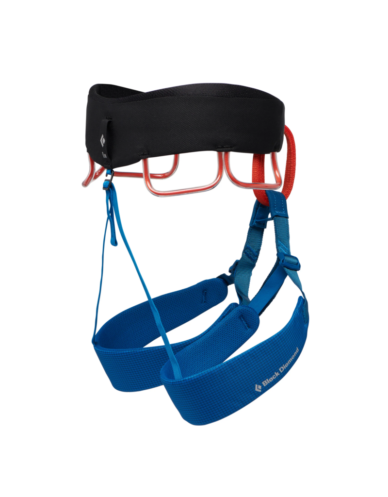 Black Diamond Equipment - NA Men's Momentum Harness