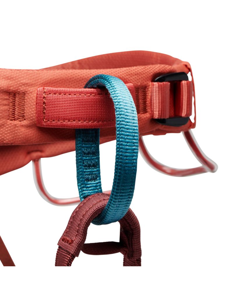Black Diamond Equipment - NA Women's Momentum Harness