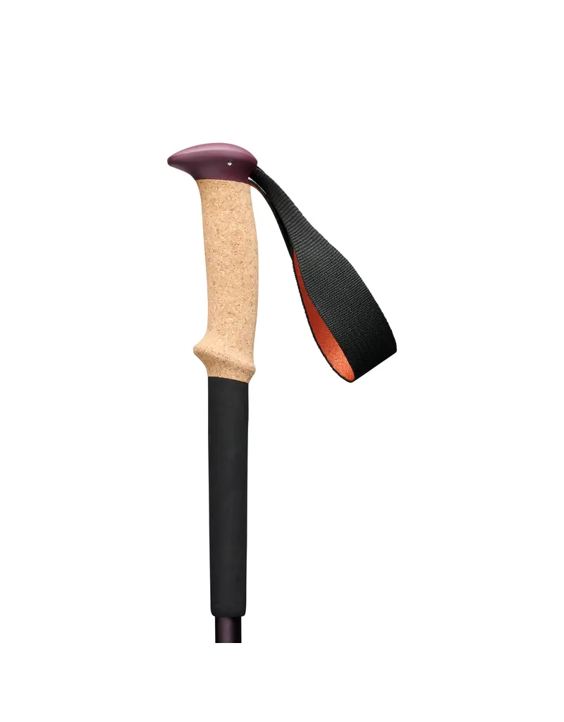 Black Diamond Equipment - NA Trail Cork Trekking Poles