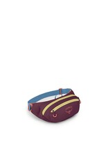 Osprey Daylite Waist