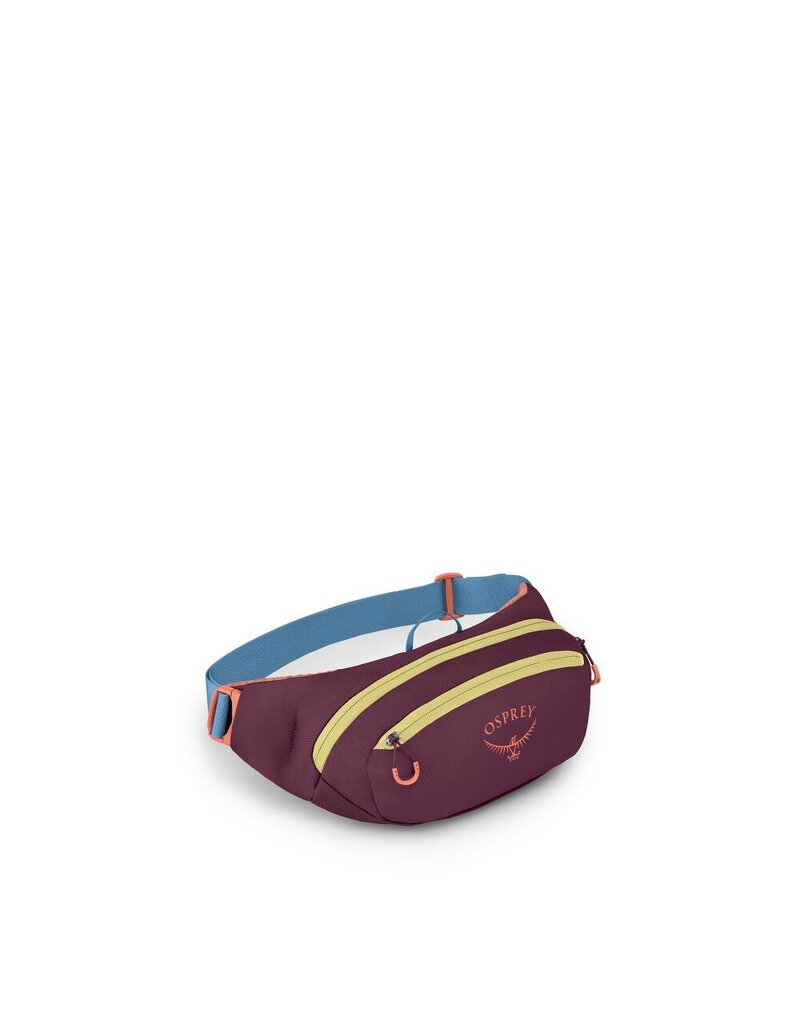 Osprey Daylite Waist