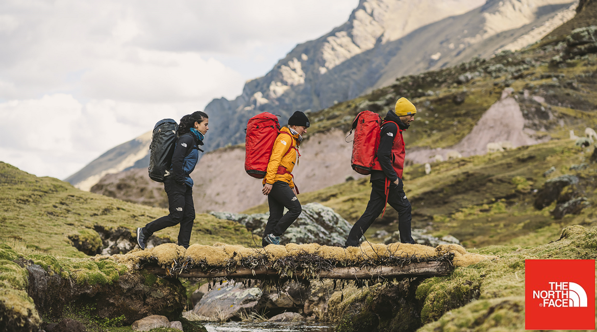 TNF