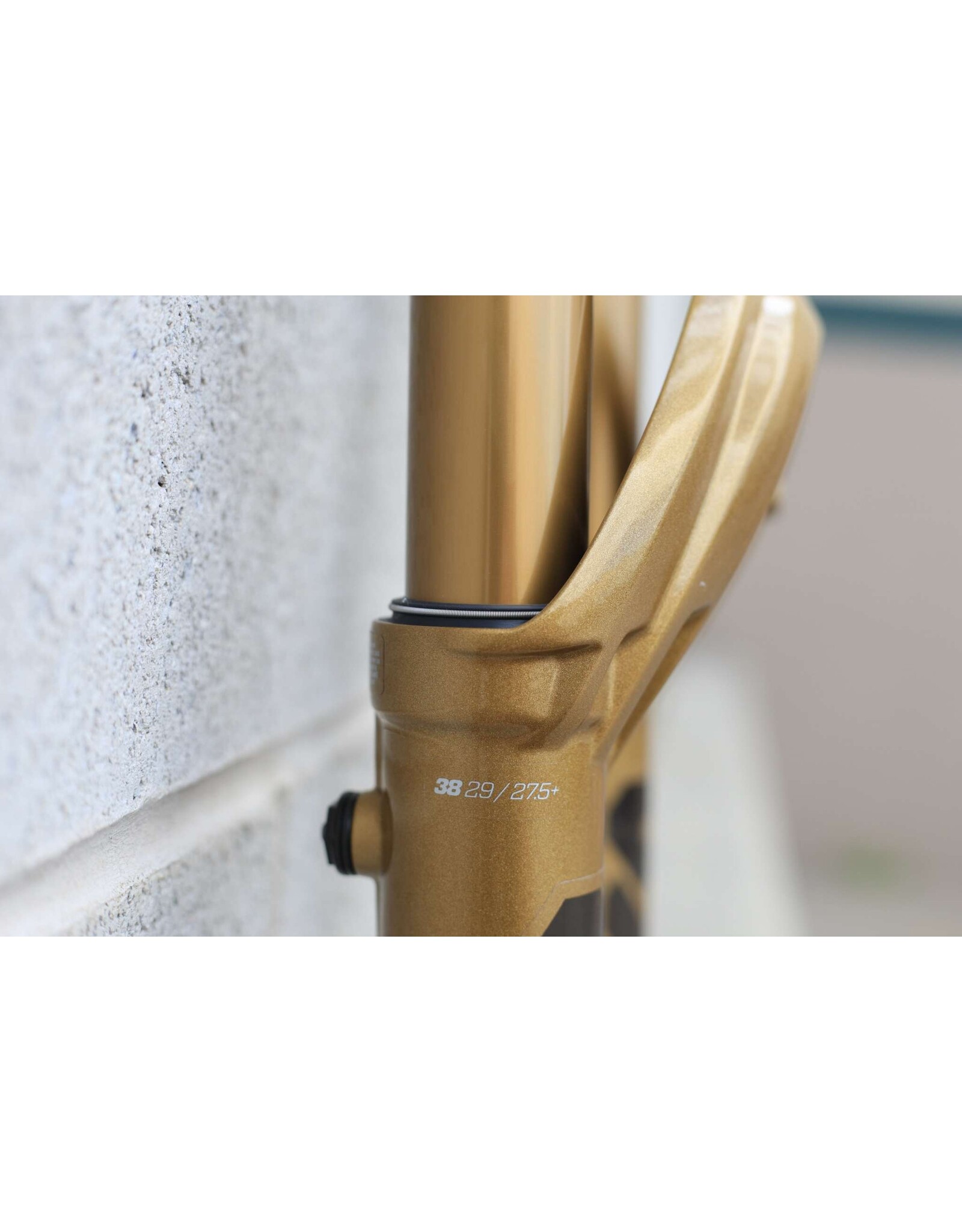 FOX Fox 38 Factory 29" - 170mm, Grip X2, Limited Edition Podium Gold