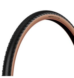 Zipp Zipp Goodyear XPLR Inter Tire, 700x45C, Folding, Tubeless Ready, Black