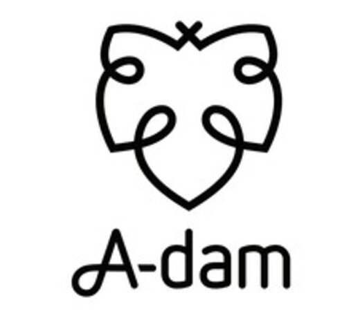 A-dam Underwear