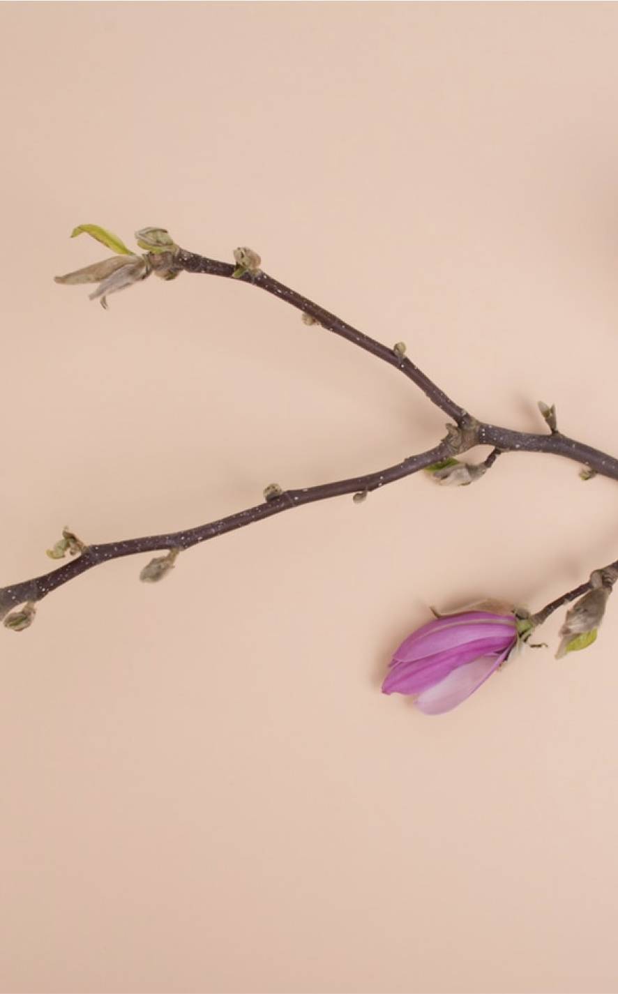 Show your banners in 5 layouts