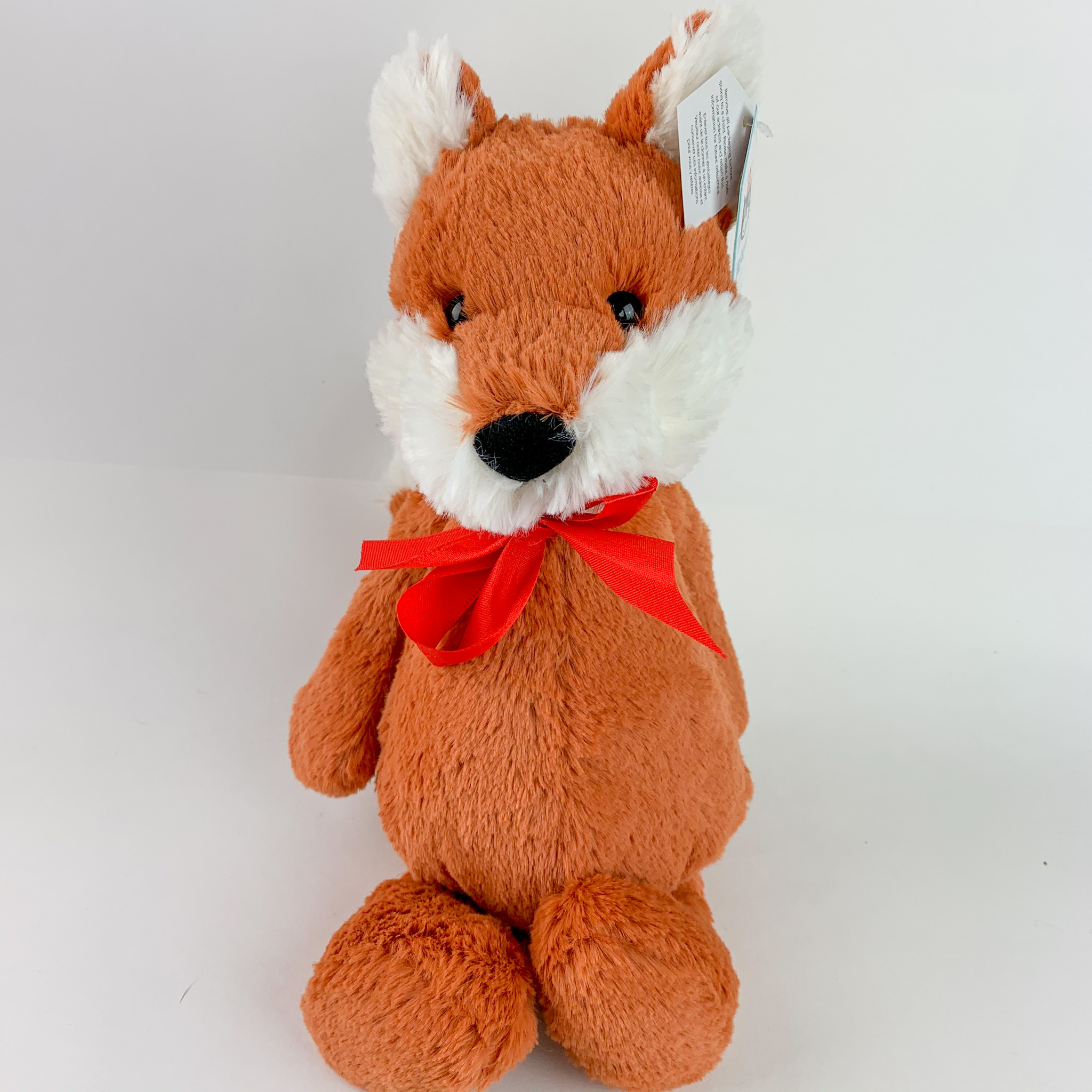 bashful fox