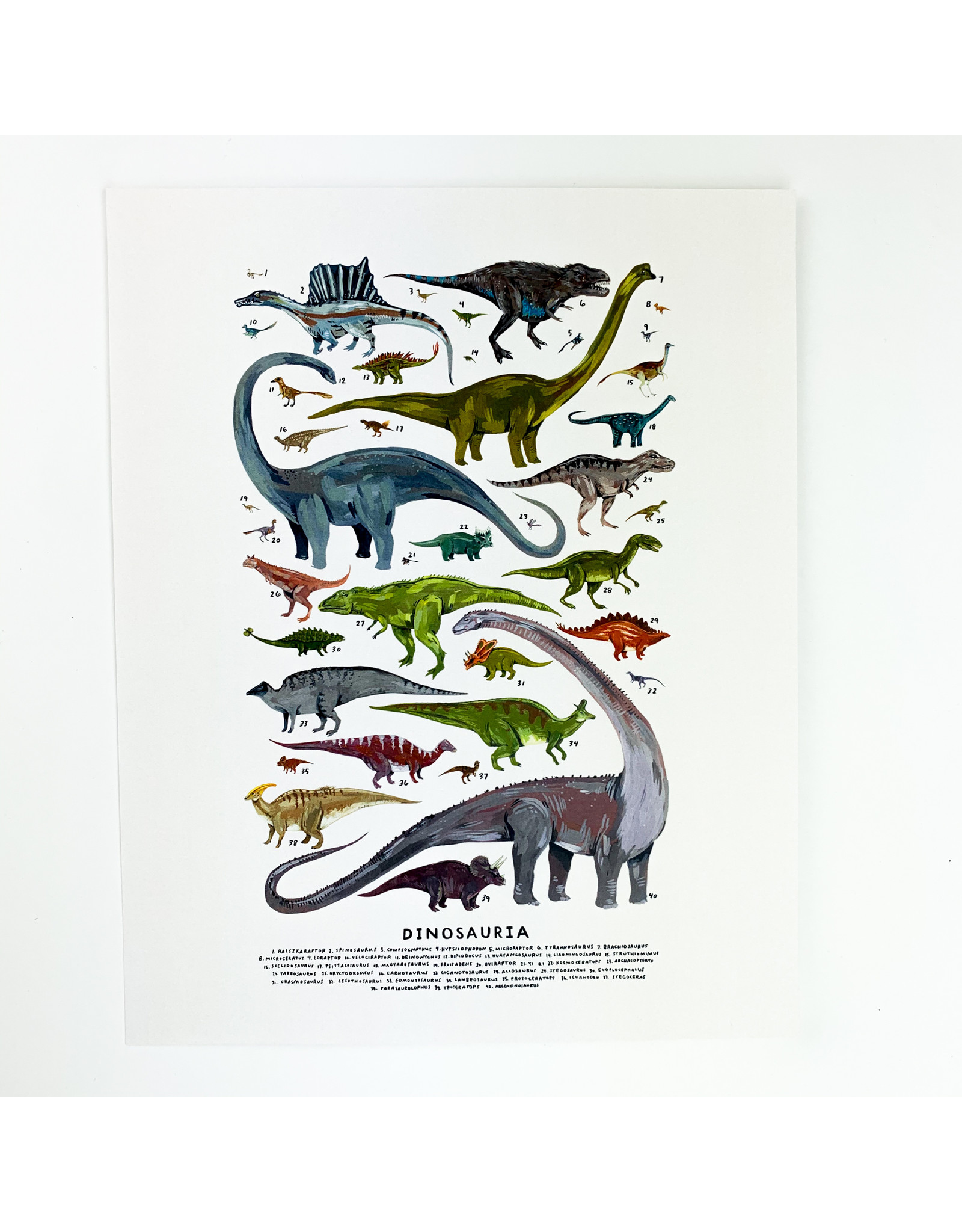 Kelzuki/Consignment Mini Print Consignment - Dinosauria