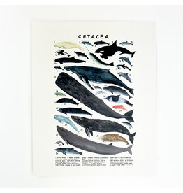 Kelzuki/Consignment Mini Print Consignment - Cetacea