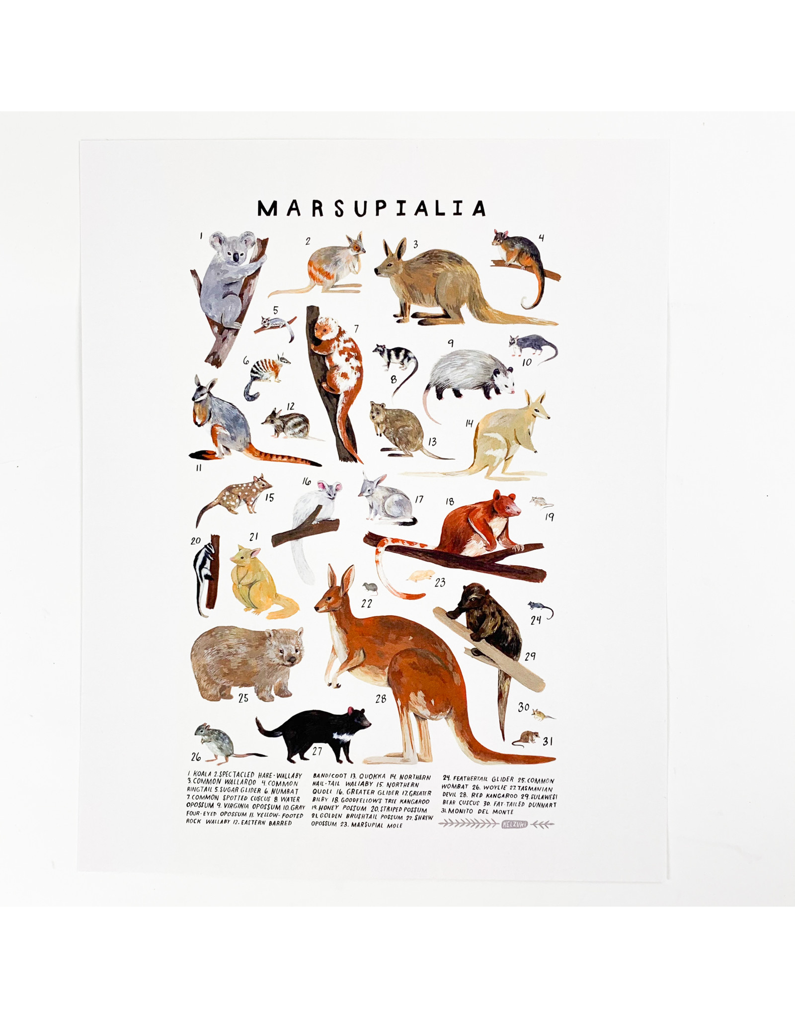 Kelzuki/Consignment Marsupialia Print/Consignment