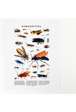 Kelzuki/Consignment Hymenoptera print/ Consignment