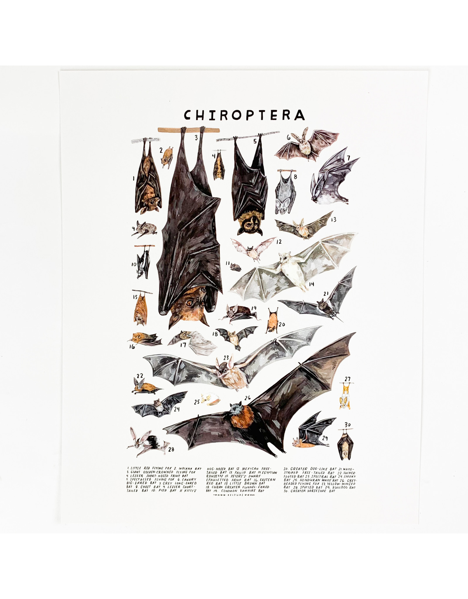 Kelzuki/Consignment Chiroptera Print Consignment