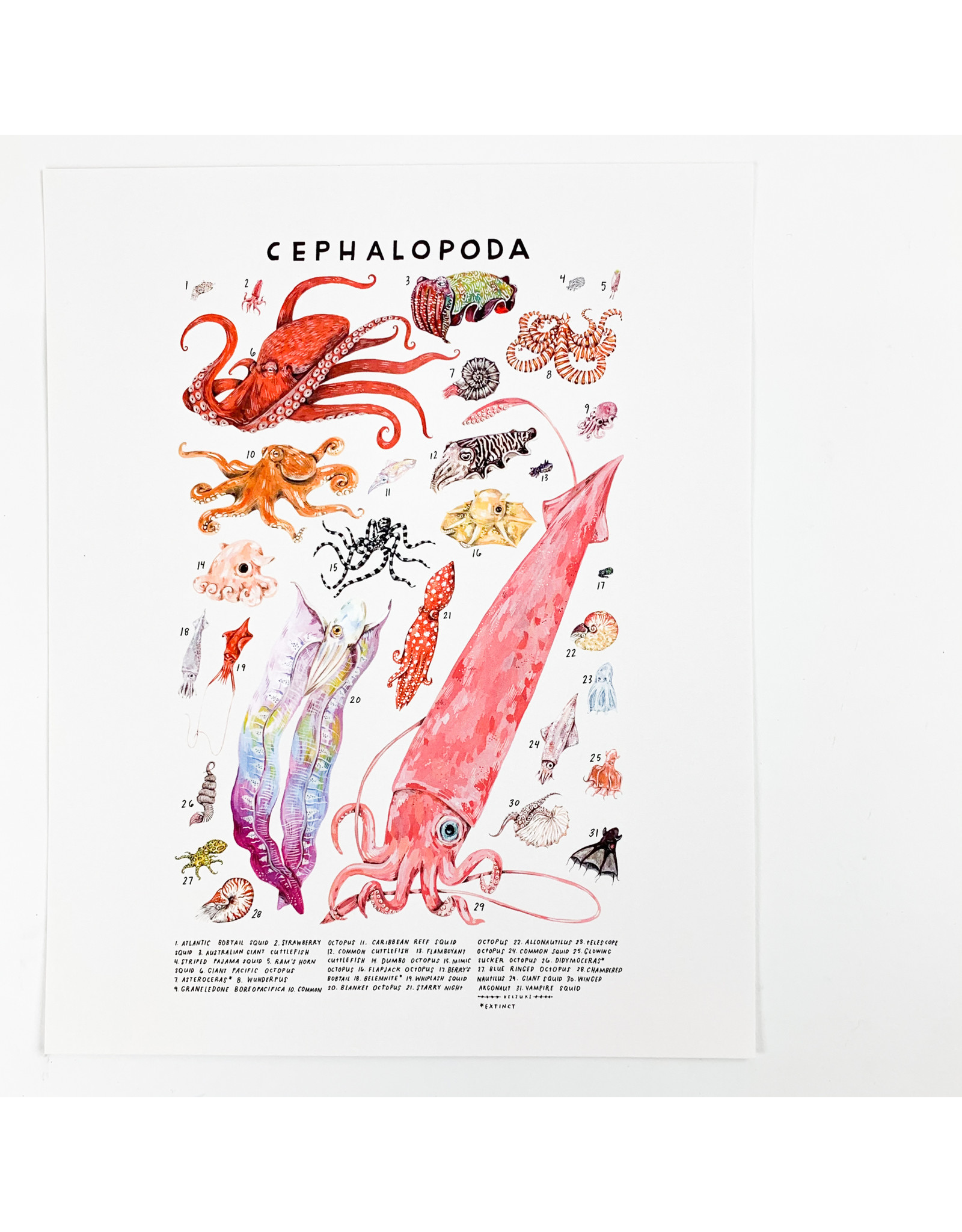Kelzuki/Consignment Cephalopoda Print Consignment