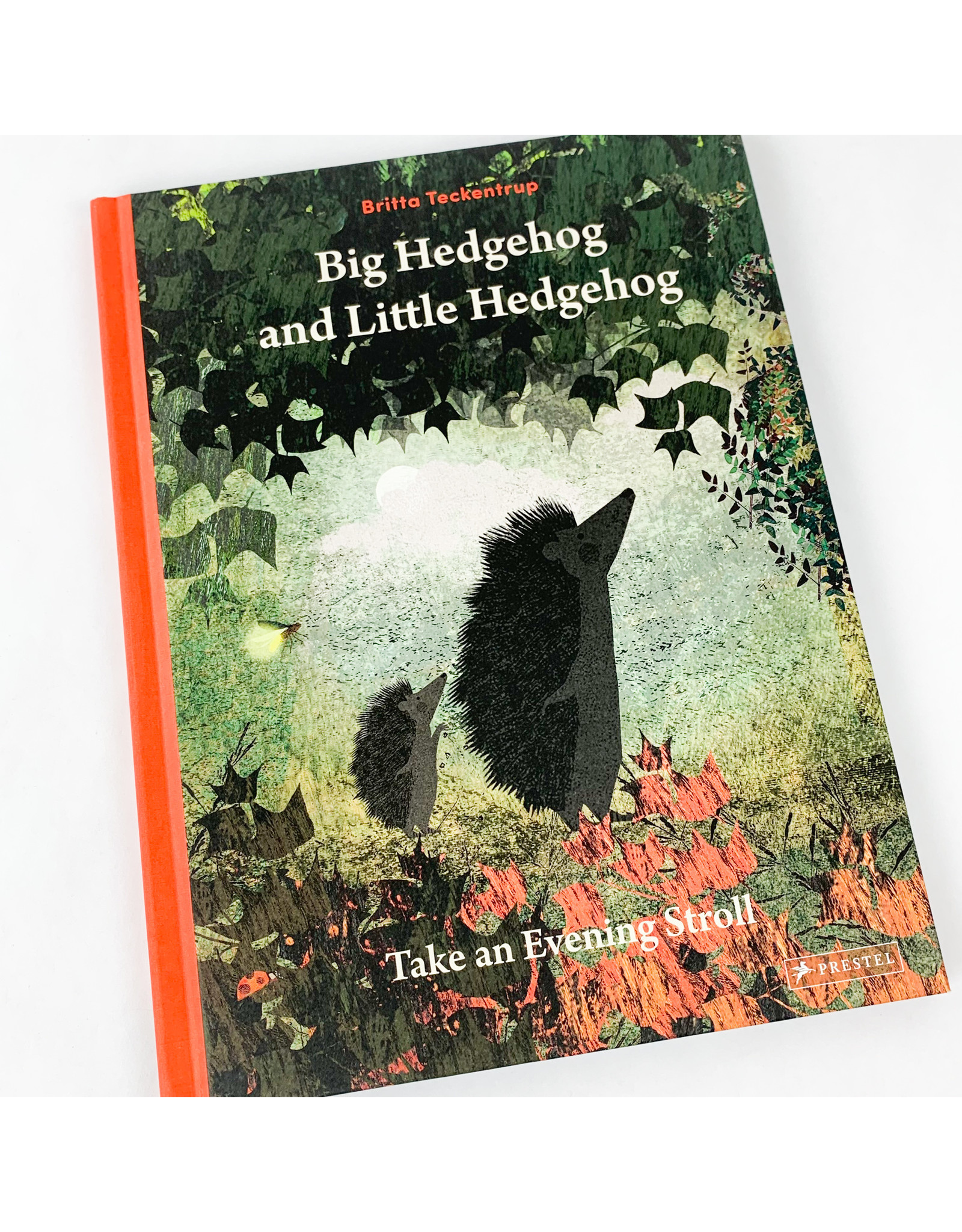 Penguin Group BIg Hedgehog Little Hedgehog