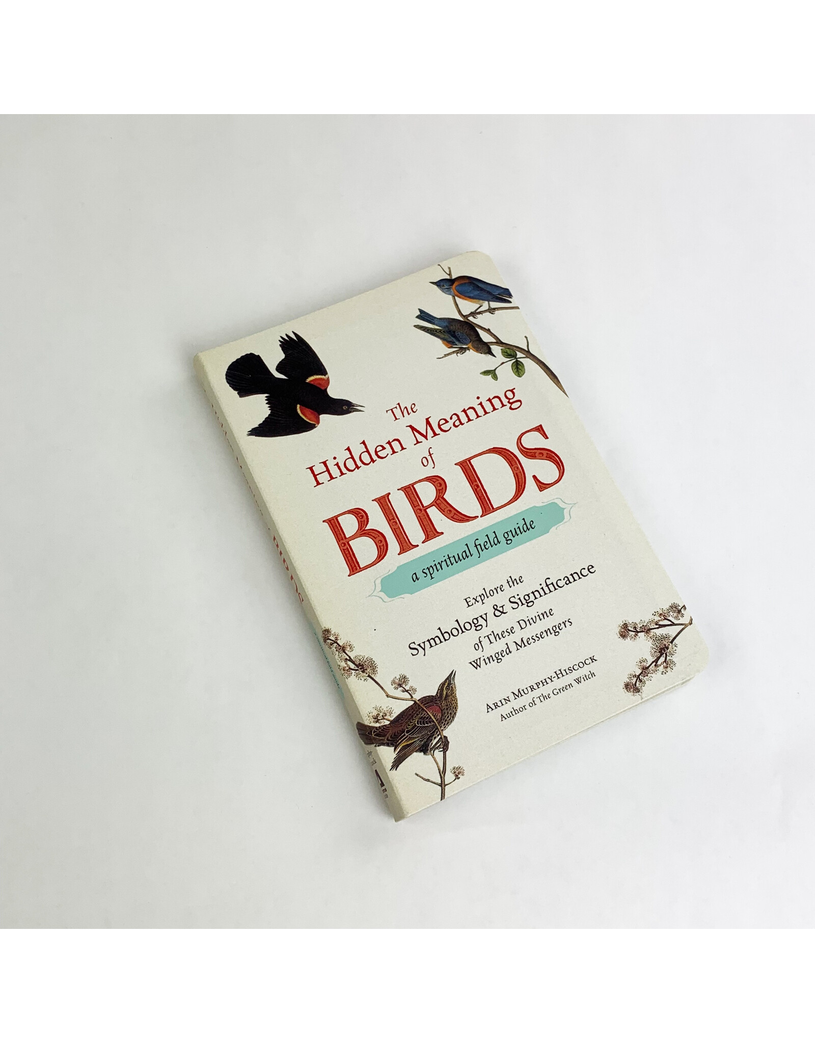 Simon and Schuster Hidden Meaning of Birds-A spiritual Guide