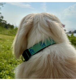 Fairhope Fairhope  Dog Collar