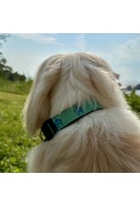 Fairhope Fairhope  Dog Collar