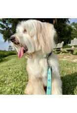 Fairhope  Dog Leash