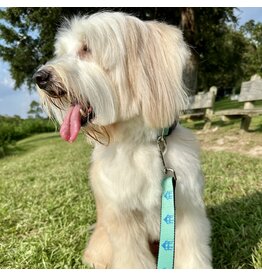Fairhope  Dog Leash