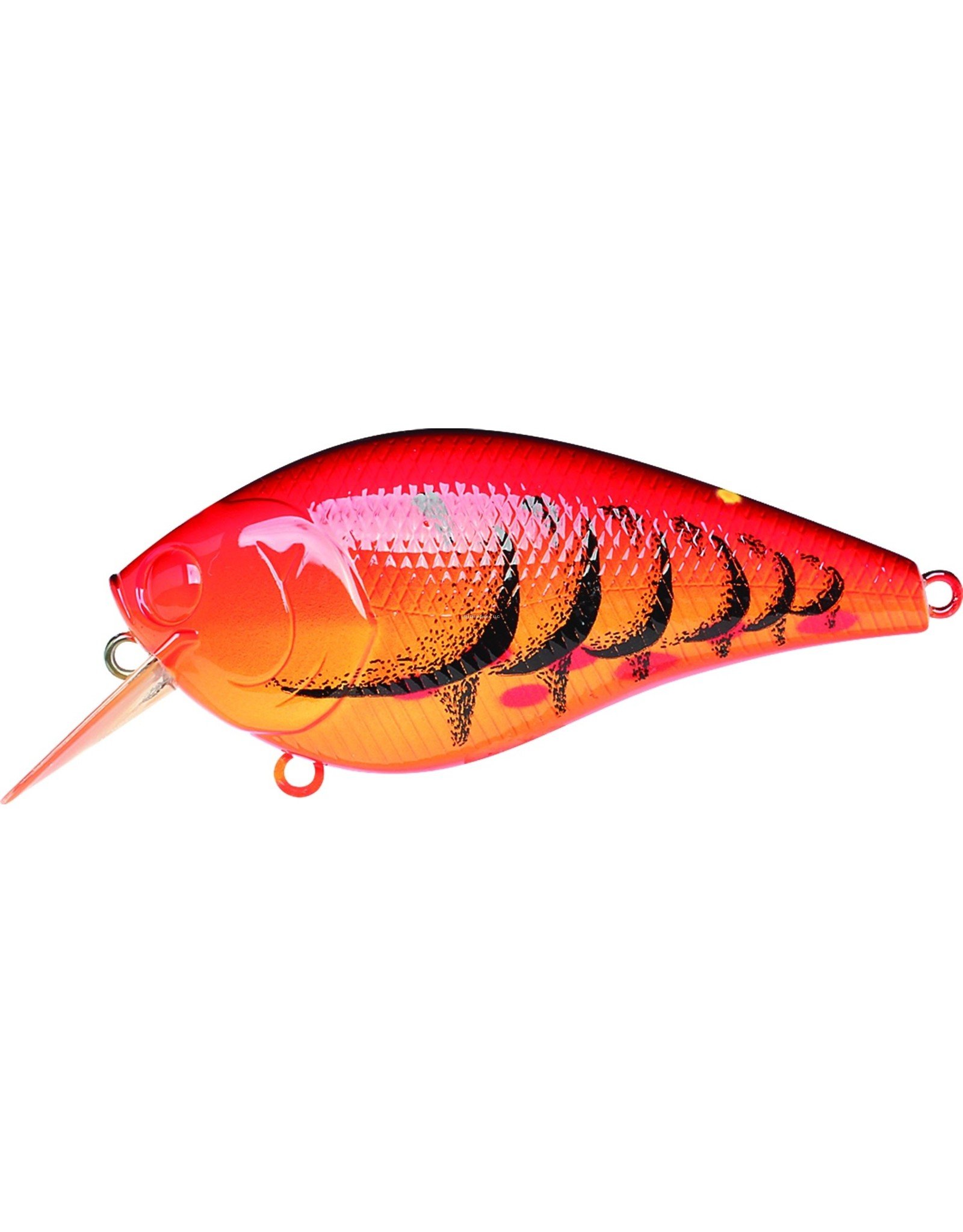 Lucky Craft LC 2.5 Floating Crankbait