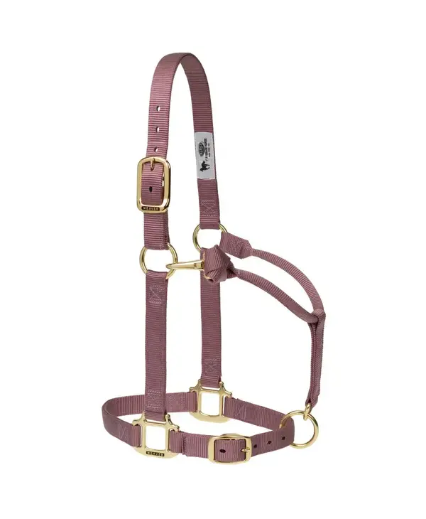 Licol Pour Cheval En Nylon - Réglable, Joues Triple épaisseur - Matériel Laiton - Marque Weaver Leather