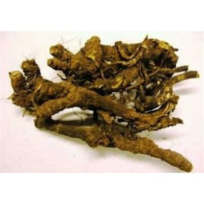 Osha / Bear Root herb / Ligusticum porteri 1 oz Osha / Bear Root herb / Ligusticum porteri 1 oz