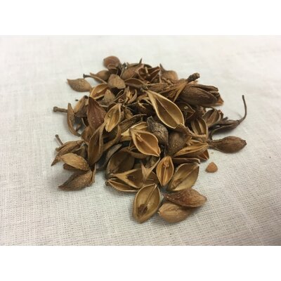 Lian Qiao Forsythia Fruit 1 oz Lian Qiao Forsythia Fruit 1 oz