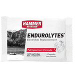 Hammer Nutrition Hammer Endurolytes Electrolyte Replacement 4 capsules