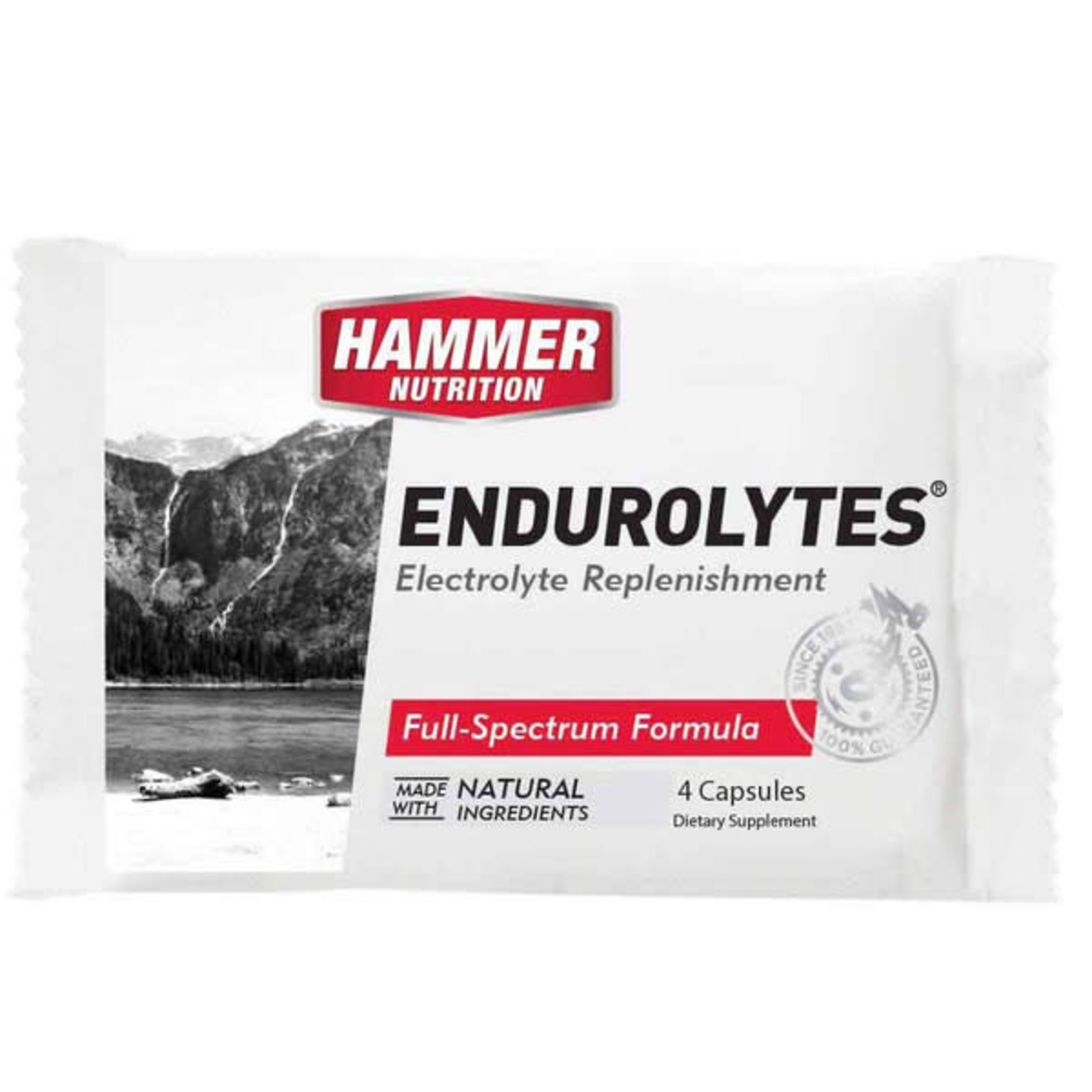 Hammer Nutrition Hammer Endurolytes Electrolyte Replacement 4 capsules