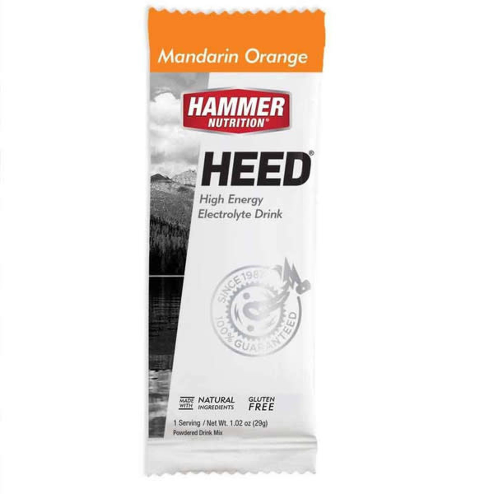 Hammer Nutrition Hammer HEED 1 Serving Packet