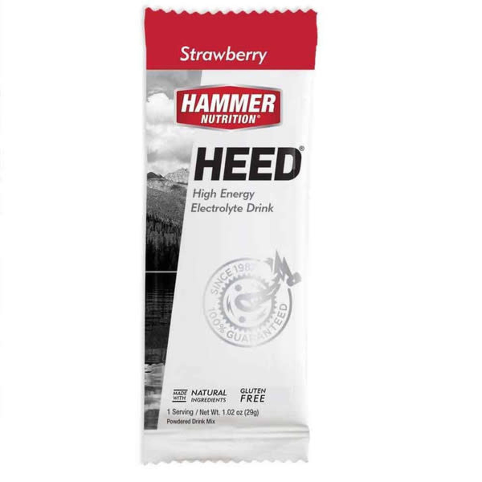 Hammer Nutrition Hammer HEED 1 Serving Packet