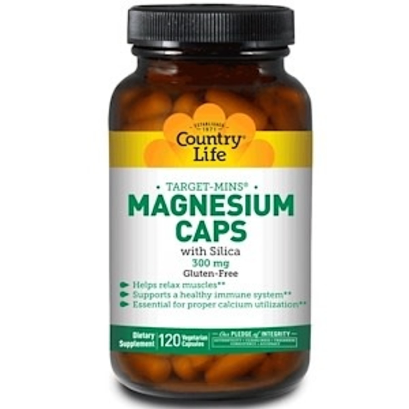 Country Life Country Life Magnesium with Silica 300mg