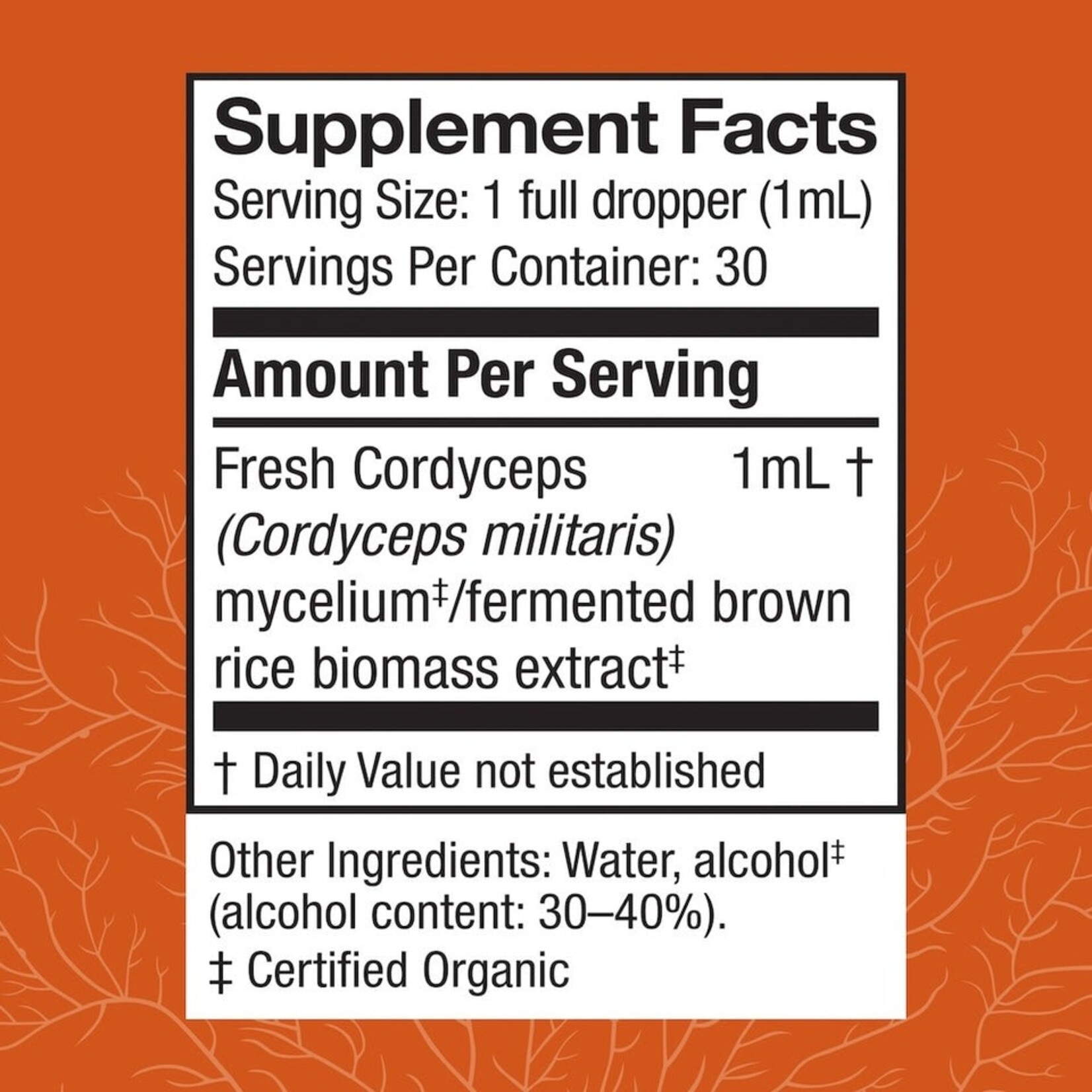 Host Defense Host Defense Cordyceps Mushroom Extract 1oz