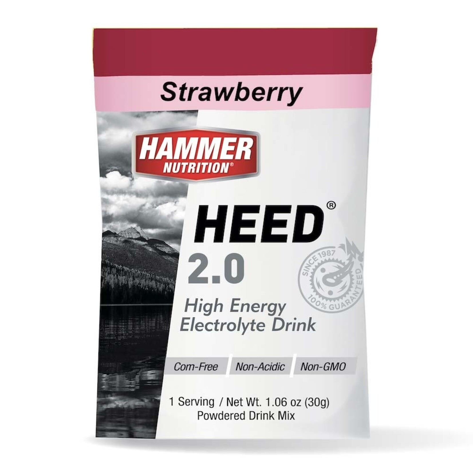 Hammer Nutrition Hammer HEED 1 Serving Packet