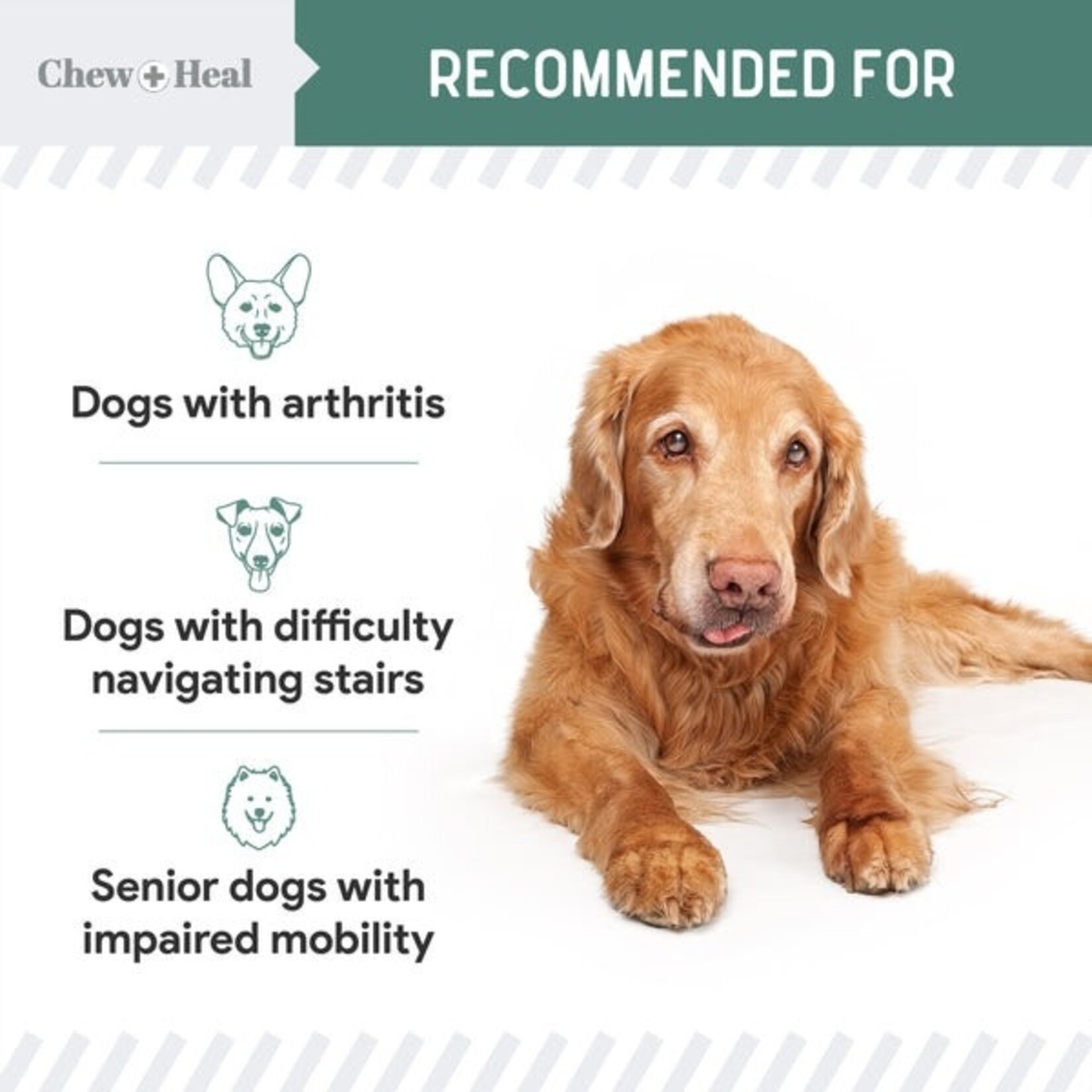 Chew & Heal Chew & Heal Senior Hip + Joint Chews 120ct