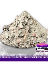 Krautcover Basecover - Ruins of Persistence